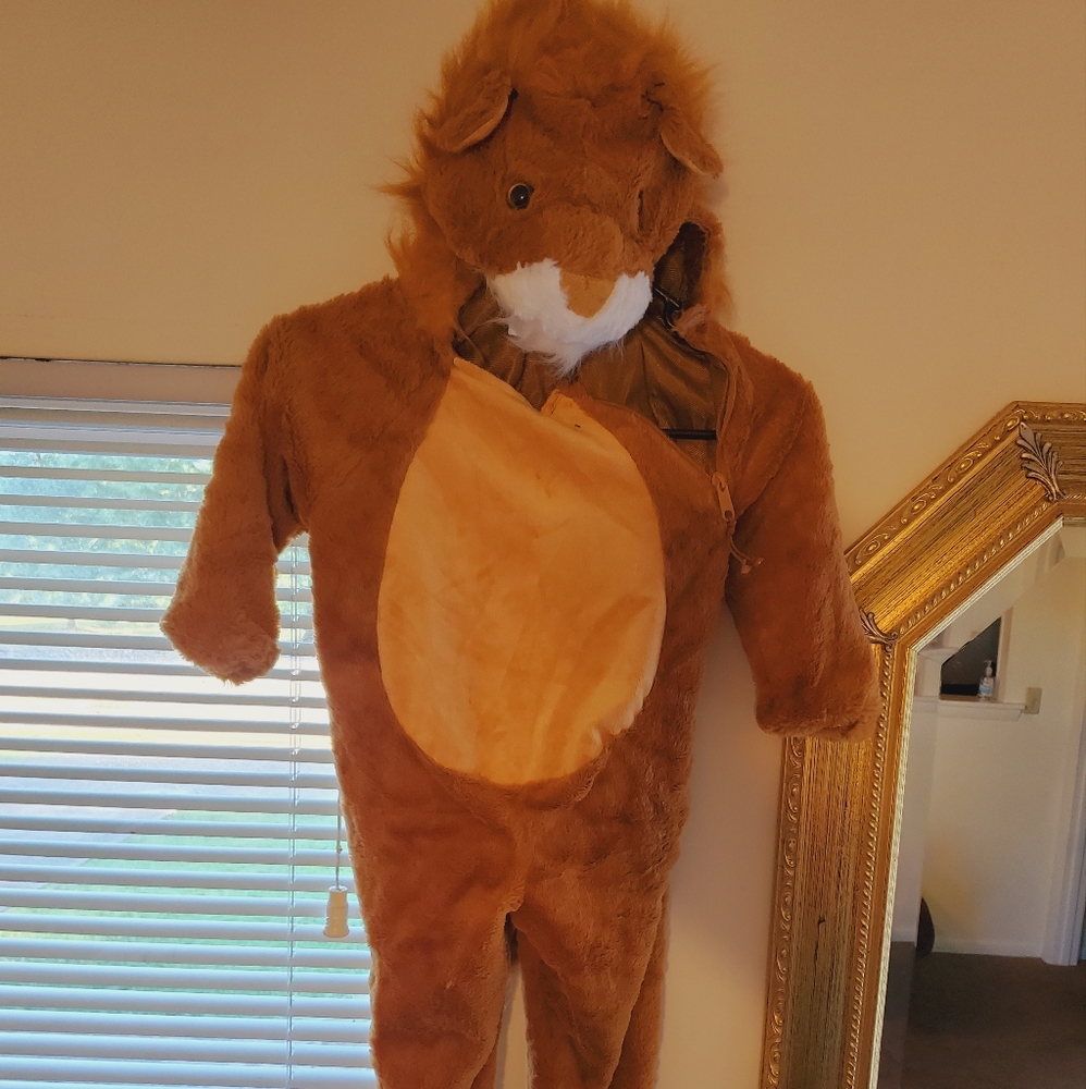 Lions childs Halloween  Custome